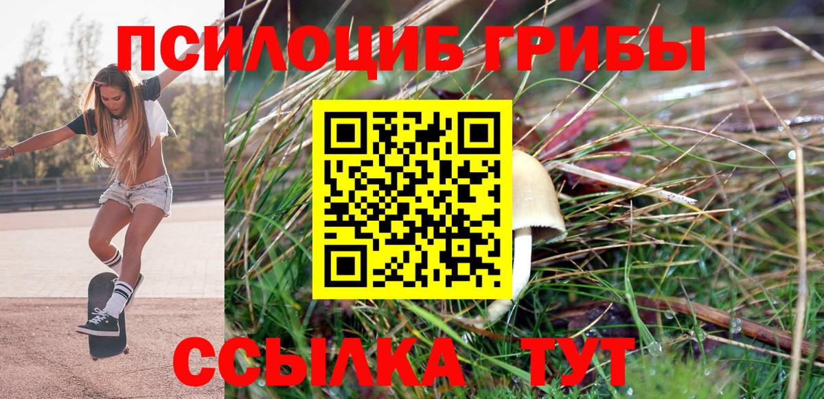 Карталы  Галлюциногенные грибы Magic Shrooms  Вход с VPN 